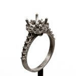 Engagement jewelry model